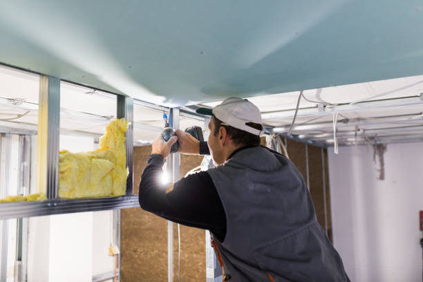 Best Wall Insulation Contractor  in Cordova, AK