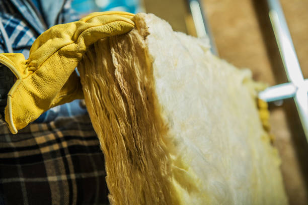 Best Spray Foam Insulation  in Cordova, AK