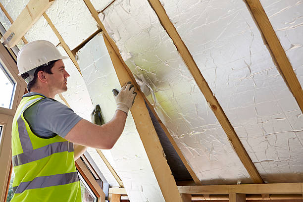 Best Fiberglass Insulation  in Cordova, AK
